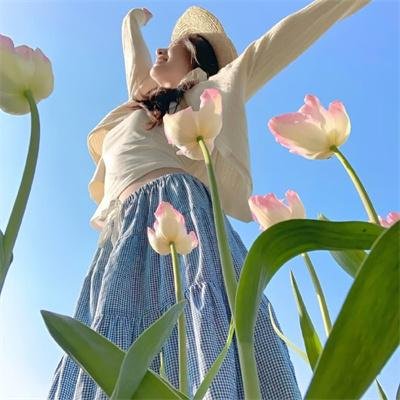 琴与罗莎