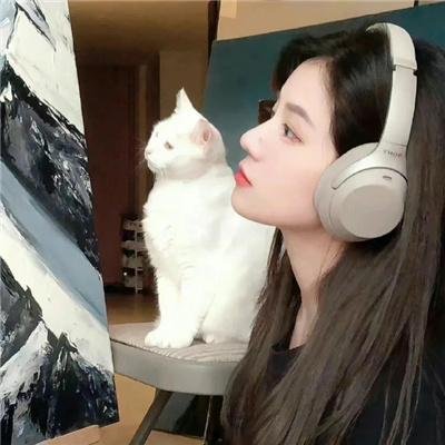 黑色爱尔兰
